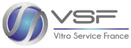 logo_VSF